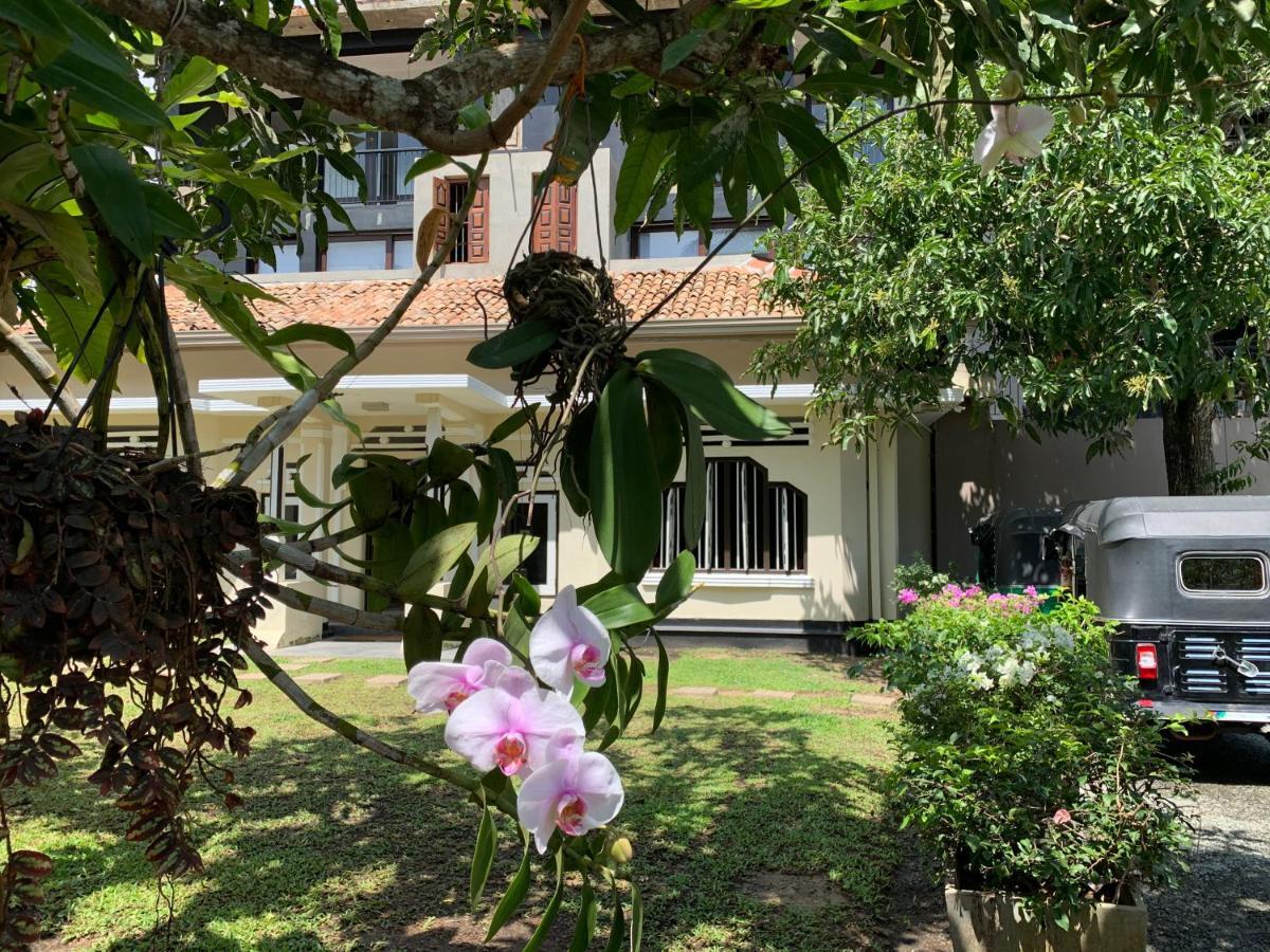 Handagedara Resort & Spa Mirissa Exterior photo